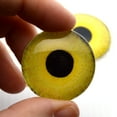 thumbnail image 4 of Light Yellow Owl Realistic Bird Glass Eyes, 4 of 9