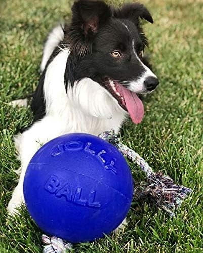 Jolly Pets Romp-n-Roll 8 inch Blue Rubber Ball with Rope for Dogs