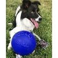 thumbnail image 3 of Jolly Pets Romp-n-Roll 8 inch Blue Rubber Ball with Rope for Dogs, 3 of 7
