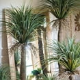 thumbnail image 4 of Moroccan Artificial Palm Tree, 4 of 11