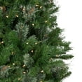thumbnail image 3 of Northlight Pre-Lit Medium Mixed Cashmere Pine Artificial Christmas Tree - 6.5' - Clear Lights, 3 of 5