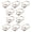 A*10PC, variant on 10 Pcs Rotatable D Rings, Purse Strap Connector with Screws, Leather Craft Hardware, Bag Accessories Rings, Buckle Hardware for Handbag, Purse Hardware for Bag Making Buckles Craft