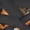 Pumpkin Bat Cats, variant on Chririnla Kids Cartoon Shoes Lace up Running Tennis Shoes for Girls Boys Cats Walking Shoes Lightweight Indoor Outdoor Sport Athletic Sneakers