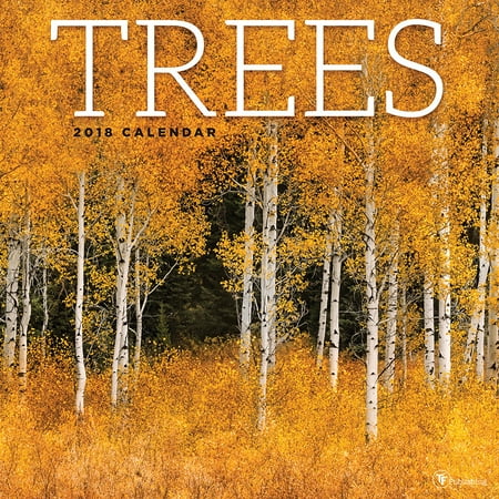 Photo 1 of 2018 Trees Wall Calendar