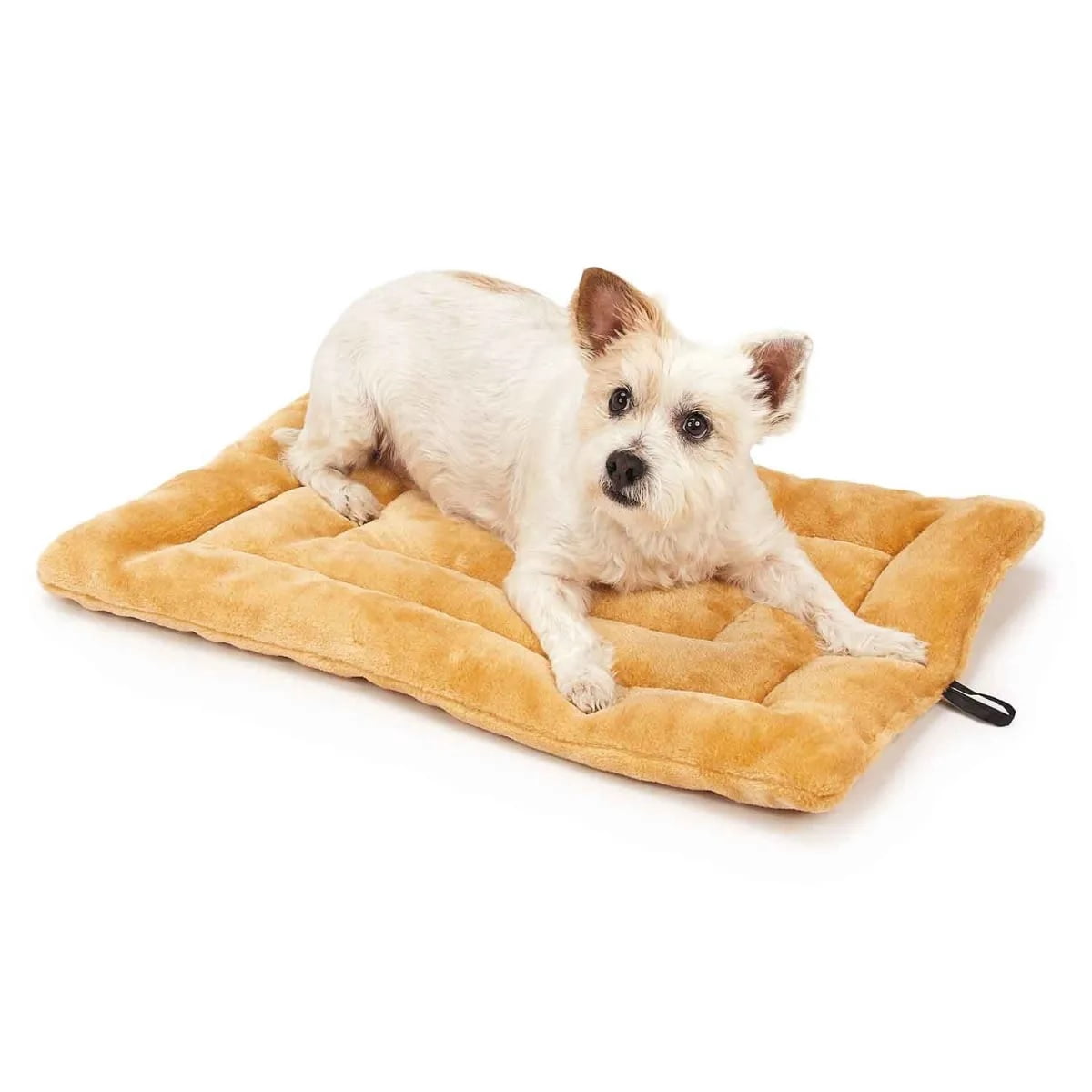 Golden Tan Sand Dog Crate Mat Bed Comfortable Durable Soft Double Sided Plush (Large - 32" x 20")