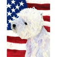 thumbnail image 1 of Caroline's Treasures American 2-Sided Polyester 15 x 11 in. Garden Flag, 1 of 7