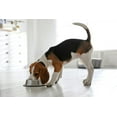 thumbnail image 2 of Van Ness Stainless Steel No Tip Bowl .47L, 2 of 2