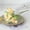 Champagne, variant on 15 Heads Silk Rose Bouquet Artificial Flowers Mini Rose for DIY Wedding Bouquets Centerpieces Bridal Shower Party Home Decorations,Pack of 5