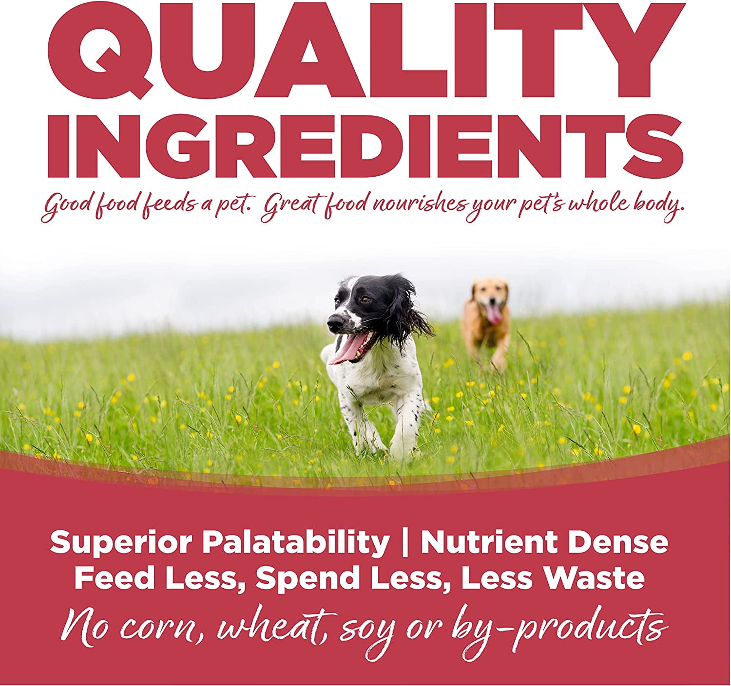 NutriSource Super Performance Dry Dog Food, Chicken and Rice, 40LB