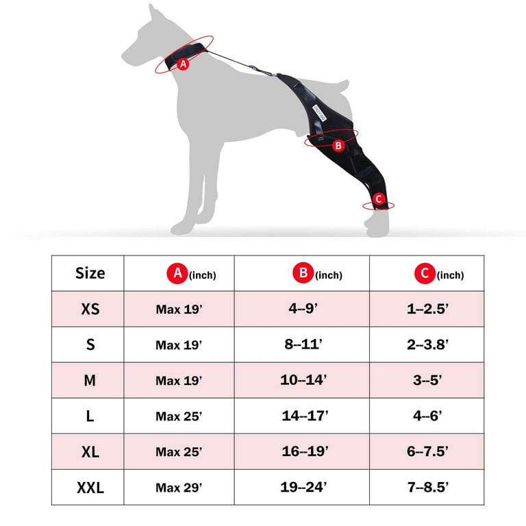 Dog knee cheap brace walmart