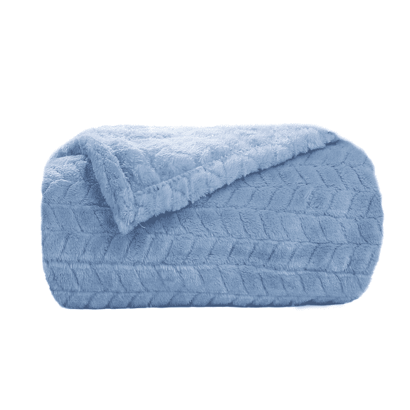 SUNNY HEAT Bed Blanket 60Ă—80Inches, Breathable and Cozy Microplush for Bed Sofa Couch, Suitable for All Seasons, Light Sky Blue