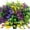 12pcs Multi-color 3, variant on Artificial Fake Flowers, UV Resistant Faux Flowers Arrangement, Fake Plants Greenery Shrubs for Indoor Outdoors, Home Garden Patio, Porch, Hanging Planter, Window Box Farmhouse (12pcs Multi-color 3)