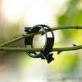 thumbnail image 4 of Meitianfacai 50PCS Plastic Plant Clips, Plant Support Clips, Stable and Durable, Necessary for Gardening, Suitable for Supporting And Fixing Climbing Plants, Beans, Grape and Tomato Vine, 4 of 5