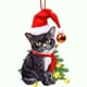 thumbnail image 3 of Xihbxyly Colgante de Gato para Árbol de Navidad, Divertido Adorno Acrílico, Colorido Adorno Navideño, Ideal para Interiores y Exteriores, Regalo para Fiestas Navideñas, Multiusos para El Hogar, Diseñ, 3 of 3