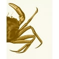 thumbnail image 2 of Fab Funky 12x14 Black Ornate Wood Framed with Double Matting Museum Art Print Titled - Contrasting Crab in Mustard b, 2 of 4