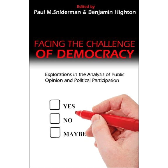 Facing the Challenge of Democracy: Explorations in the Analysis of Public Opinion and Political Participation, (Paperback)