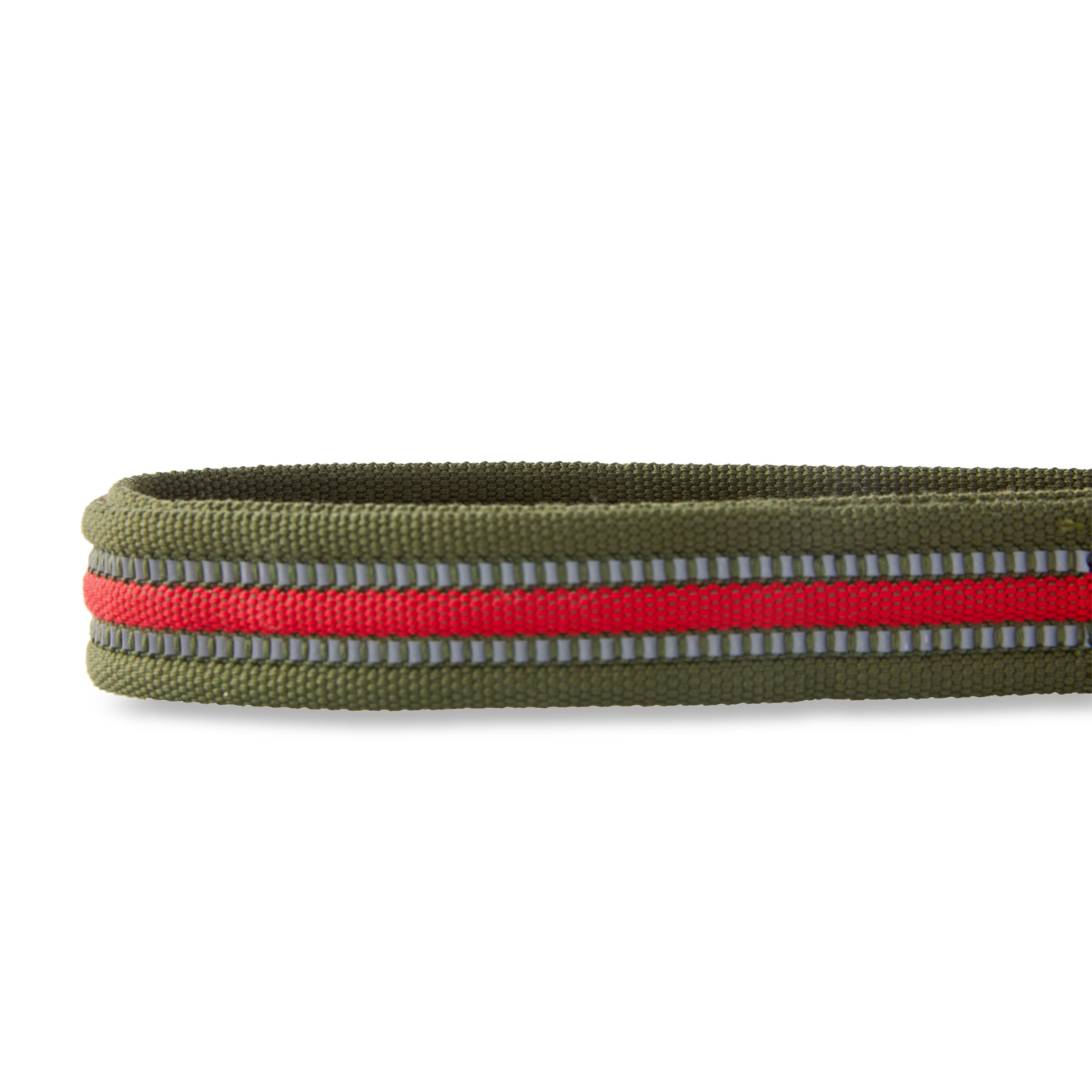 Vibrant Life 6' Reflective Leash, Olive, L