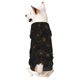 thumbnail image 1 of Fotbe Gold Spiders And Cobwebs Sudadera con Estampado para Perros Pequeños – Suéter con Capucha para Mascotas, Tela Suave de Forro Polar con Bolsillo-X-Large, 1 of 7