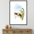 thumbnail image 2 of Designart 'Ancient Hummingbird III' Traditional Framed Canvas Wall Art Print, 2 of 5