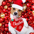thumbnail image 2 of Bandanas navideñas para perros Abbylike, 50 unidades (80 x 55 cm), 2 of 7