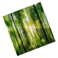 thumbnail image 3 of kurtrusly Impression Numérique 3D Rideaux de Rideau pour Chambre à Coucher Salon Forêt de Soleil 1Set, 3 of 6