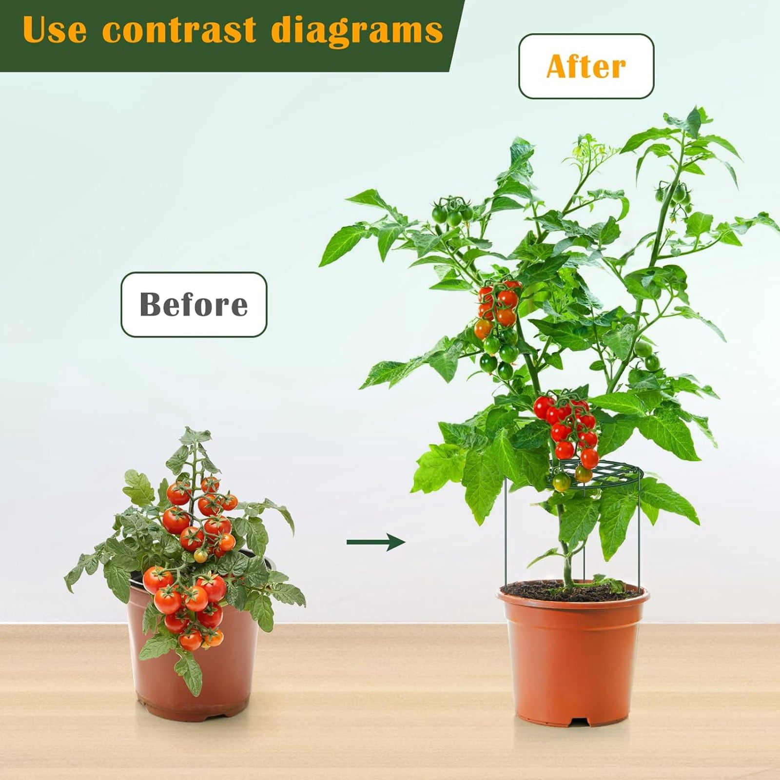 Peony Support Cage, Plant Flower Stake, Garden Plant Support, Horticultural Stake, For Peonies, Tomatoes, Climbing Vegetables Two Styles(A-12In)