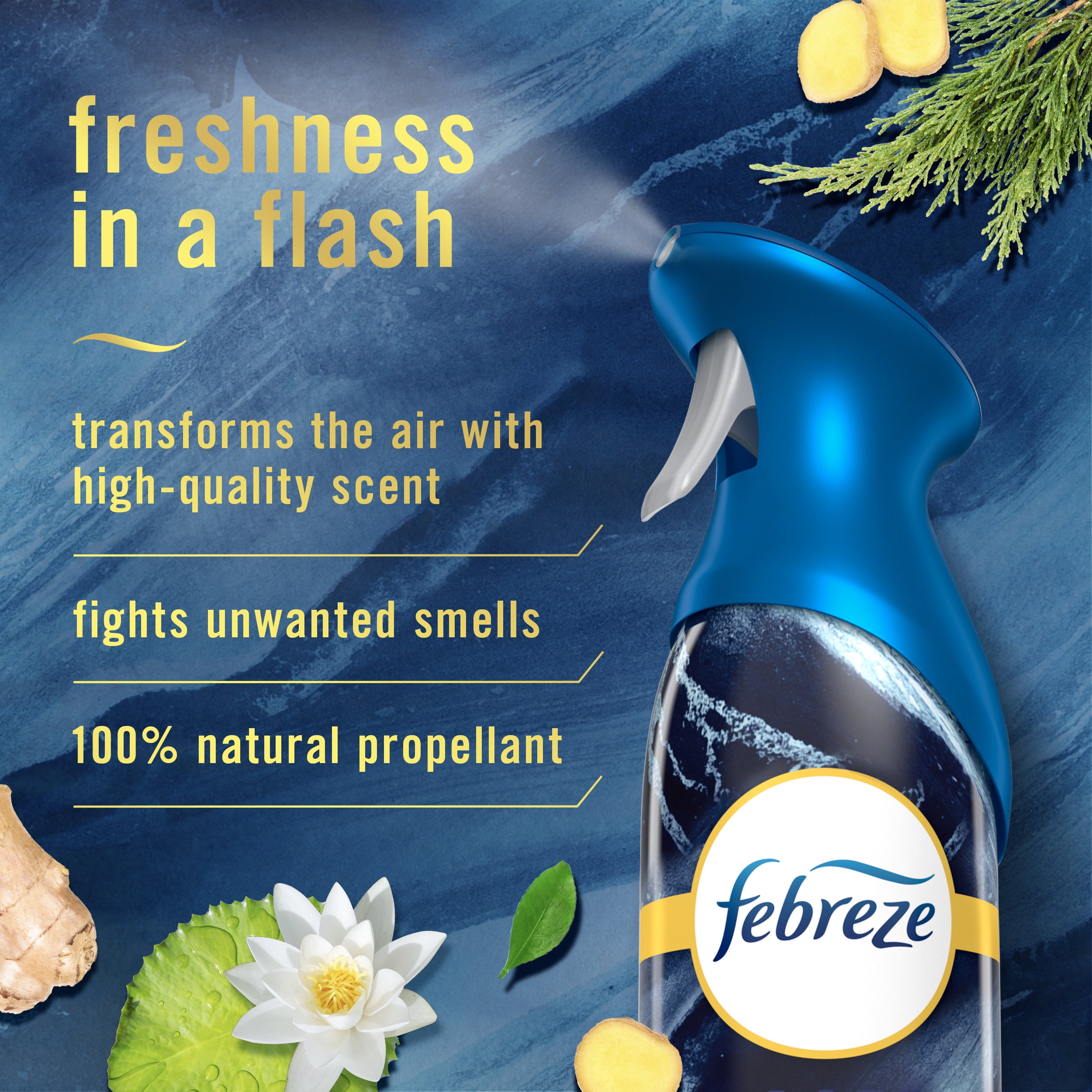 (2 pack) Febreze Air Freshener Spray, Odor-Fighting Room Spray, Ocean, 8.8oz