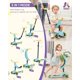 thumbnail image 2 of Scooter / Triciclo Evolutivo 5 en 1 de Equilibrio para Niños, Patinete Multifuncional Convertible con Asiento Desmontable, Guía y Luz LED, Color Azul, 2 of 6
