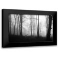 thumbnail image 1 of Nisan Kandilcioglu, Ummu 18x13 Black Modern Framed Museum Art Print Titled - Forest, 1 of 5