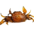 thumbnail image 4 of 1pcs Silicone Road Bait 3d Simulation Crab Bait With Hook Bait Tackleorange, 4 of 5
