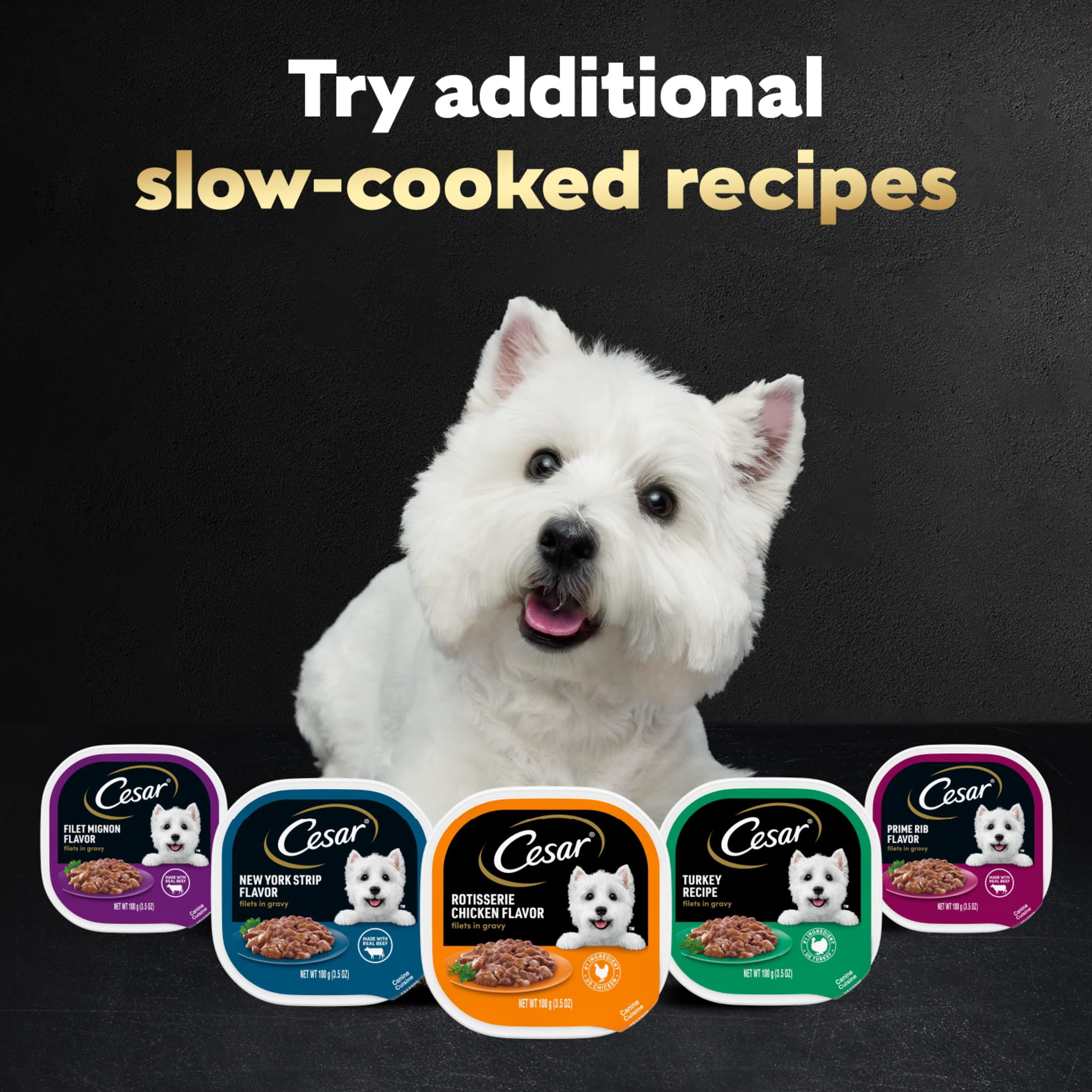 (4 pack) Cesar Filets in Gravy Poultry Flavor Variety Wet Dog Food Adult, 3.5 oz Easy Peel Trays (12 Pack)