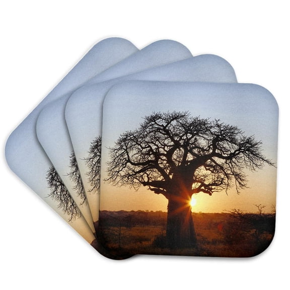 3drose, African Baobab Tree, Tarangire National Park, Tanzania-af45 Aje0263 - Adam Jones, Set of 4 Coasters - Soft
