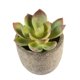 thumbnail image 4 of BESTYASH Planta Artificial Verde Para De Oficina Y Hogar Con Material Premium, 4 of 6