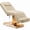 Beige, variant on Fully Electric Massage Table, 3 Motors Adjustable Spa Facial Bed with LED Light, 0-90° Adjustable Backrest and Leg Support, Removable Headrest, Tattoo Chair for Esthetician