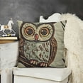 thumbnail image 2 of YINGXI  Throw Pillow Cushion Cover, Sitting on Branch Eyesight Animal Humor Pastel Retro Modern Graphic, Decorative Square Accent Pillow Case, Brown Cream Red Teal 20x20in, 2 of 5
