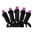 thumbnail image 2 of Luces de Halloween Way To Celebrate Mini LED Morado 100 luces 6 metros, 2 of 4