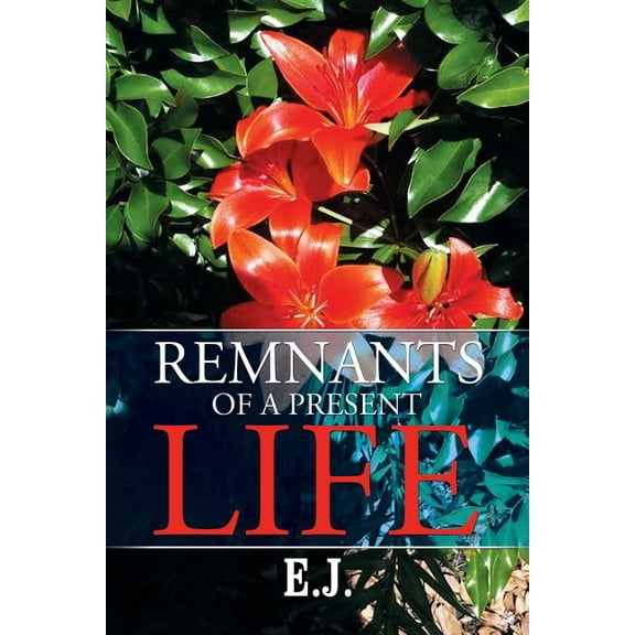 Remnants of a Present Life (Paperback)