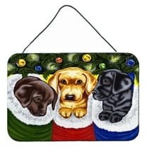 Carolines Treasures AMB1315DS812 Christmas Stocking Surprise Labrador Wall or Door Hanging Prints 8x12 multicolor