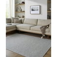 thumbnail image 6 of Hauteloom Breena Living Room, Bedroom Machine Washable Area Rug - Traditional, Transitional - Medium Gray - 5' x 7', 6 of 6