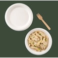 thumbnail image 4 of FPN Disposable Round Plates, 6 in, 250-Pack, Sugarcane, Compostable, Microwave-Safe for Events & Partiesngs, Events, 4 of 9