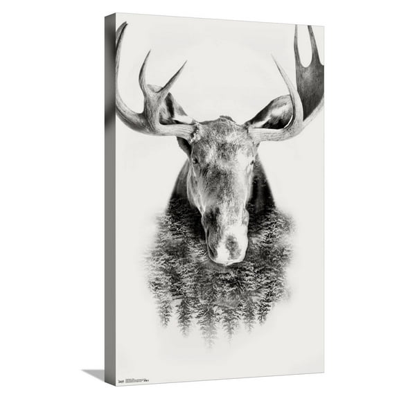 Moose - Trees Canvas Wall Poster, 14.725" x 22.375"