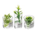 thumbnail image 4 of 3pcs Miniature Artificial Plant Doll House Mini Plant Model Fake Plant Figure, 4 of 7
