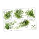 thumbnail image 3 of 2 piezas de calcomanías de pared 3D de cuadrícula de plantas verdes vívidas de PVC para decoración del hogar, pósteres impermeables para Estilo B, 3 of 9