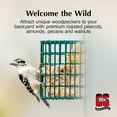thumbnail image 5 of C&S Woodpecker Suet Treat, for Wild Birds, 11 Ounces, 1 Pack, 5 of 11