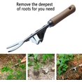 thumbnail image 4 of XFJTECH Outil de Désherbage à la Main Jardin Désherbant - Base de Levier Inoxydable Crée Angle Parfait - Facile Désherbage, 4 of 5