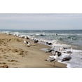 thumbnail image 2 of Baltic Sea Wall Mural by Wallmonkeys Peel and Stick Graphic (18 in W x 12 in H) WM278488, 2 of 4