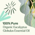 thumbnail image 5 of Plant Therapy Organic Eucalyptus Globulus Essential Oil 100% Pure, USDA Certified Organic, Undiluted 10 mL (1/3 fl oz), 5 of 8