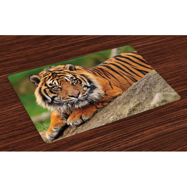 Tiger Placemats Set of 4 Noble Beast Crouching on a Rock Sumatrian