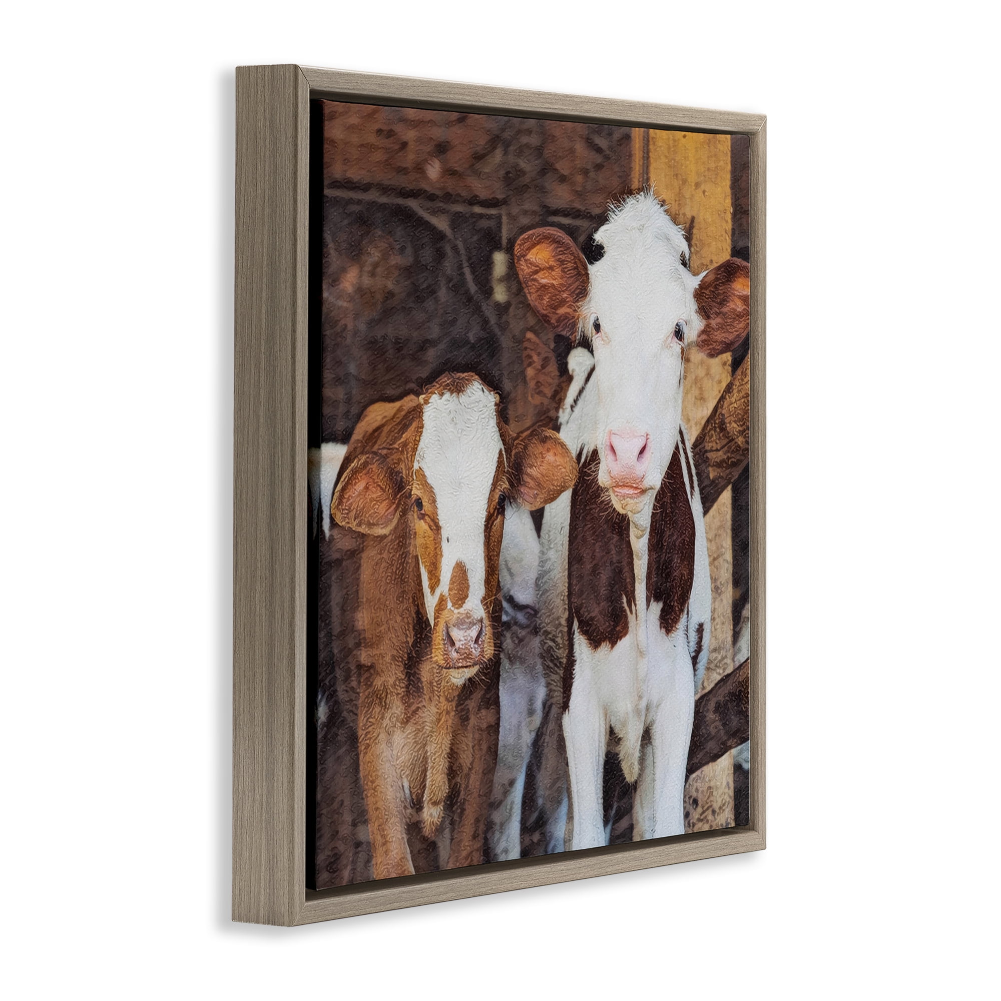 Stupell Industries Baby Cows on Farm Animals Painting Brown Floater Framed Canvas Art Print Wall Art, 18 x 18