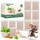 thumbnail image 1 of Sobres repelentes de plagas WonderMar con aceite de menta, 10 piezas, 1 of 7
